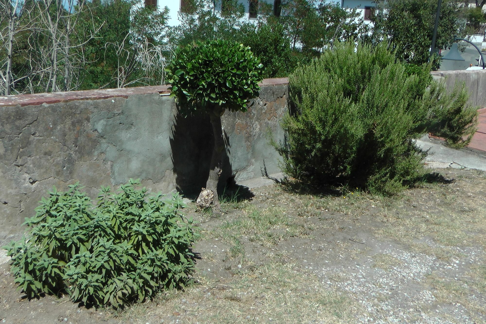 Ferienhaus Villa Della Querceta Livorno Eksteriør billede
